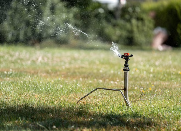 lawn care