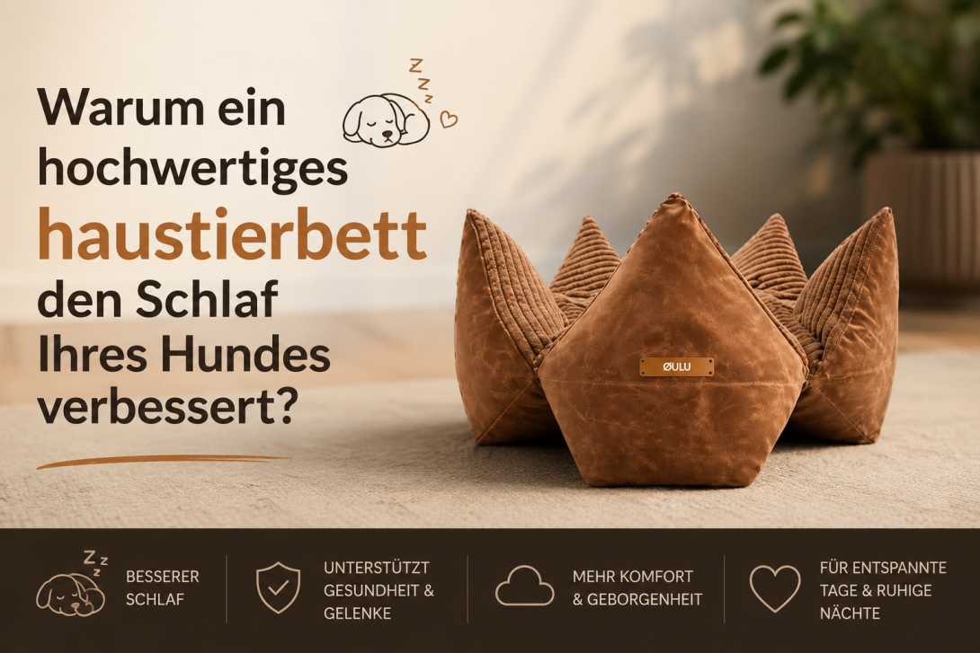 Warum ein hochwertiges haustierbett den Schlaf Ihres Hundes verbessert