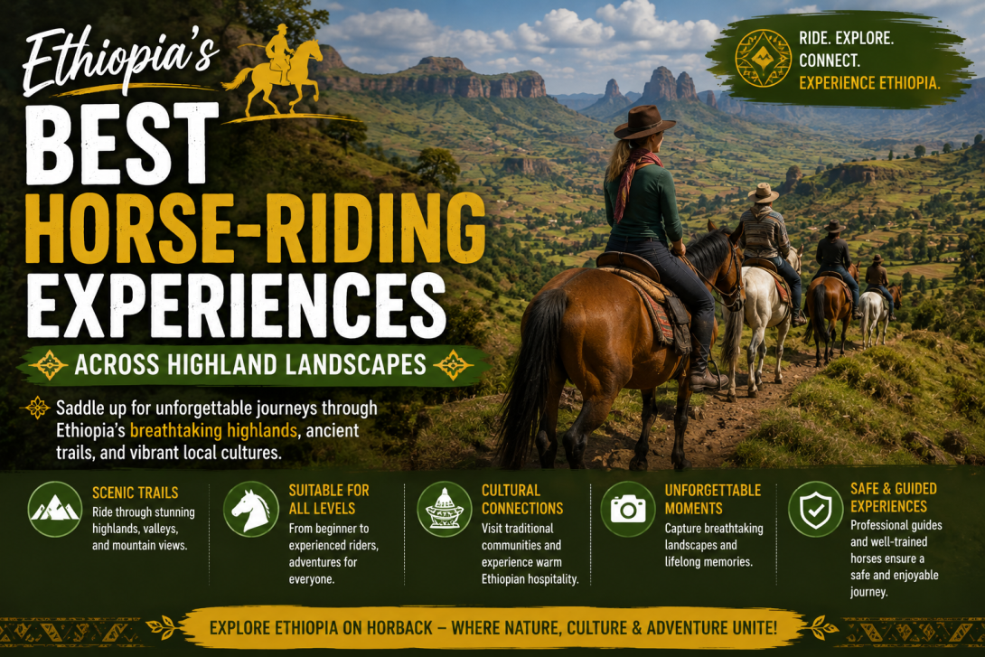 Ethiopia's Best Horse-Riding Experiences Across Highland Landscapes