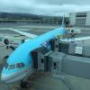 Profile picture for user airlinepolicy
