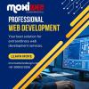 Profile picture for user moxiweb