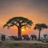 Profile picture for user kilimanjaro airport transfers