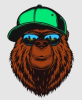 Profile picture for user smmbear