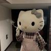 Profile picture for user kathyebrisenoa97en